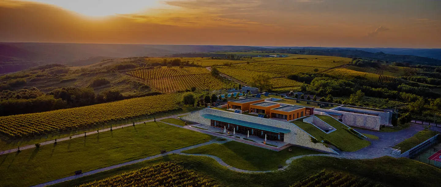 Avincis Winery