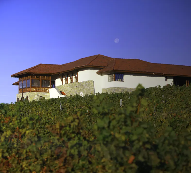 Davino Winery