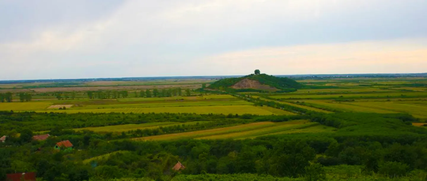 Dobra Winery