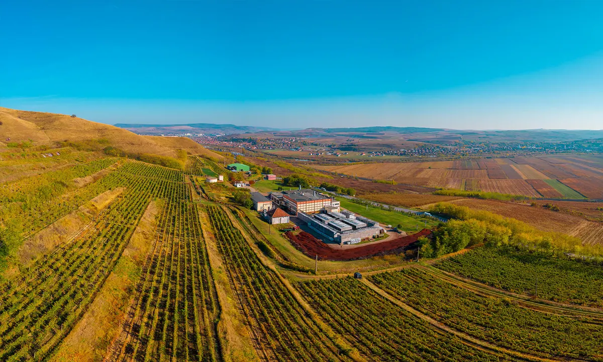 Jidvei Winery - Tarnave, Transylvania