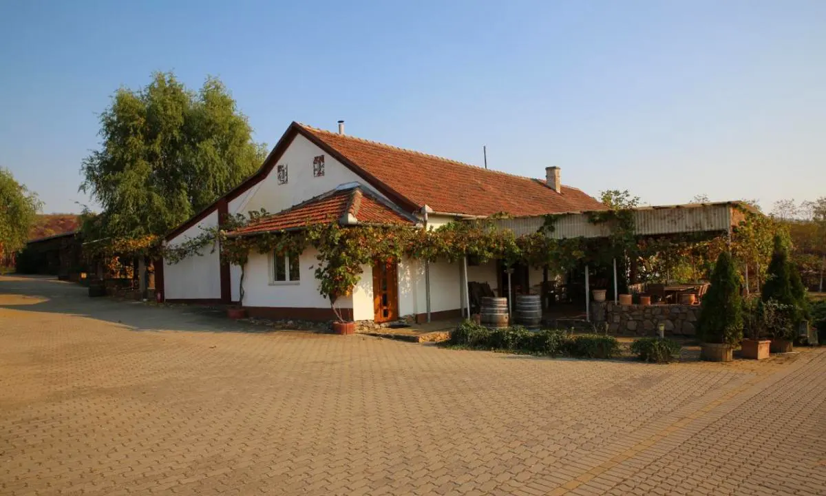 Elite Wine Winery - Minis-Maderat, Romania
