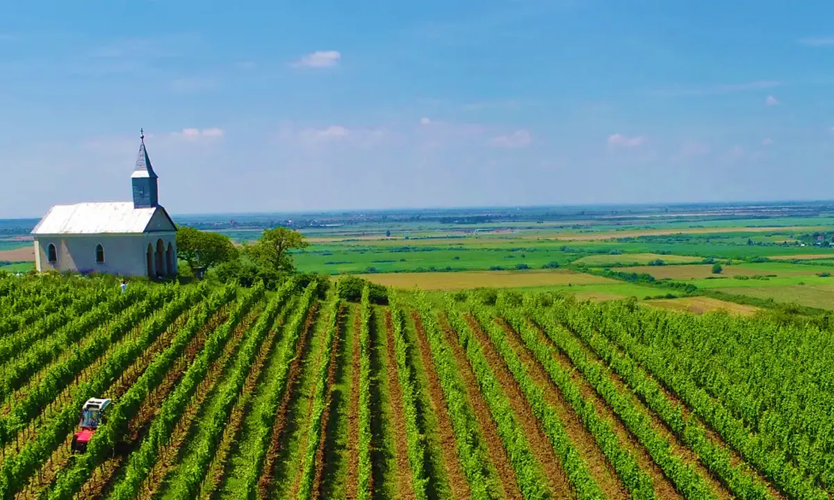 Nachbil Winery - Silvania, Romania
